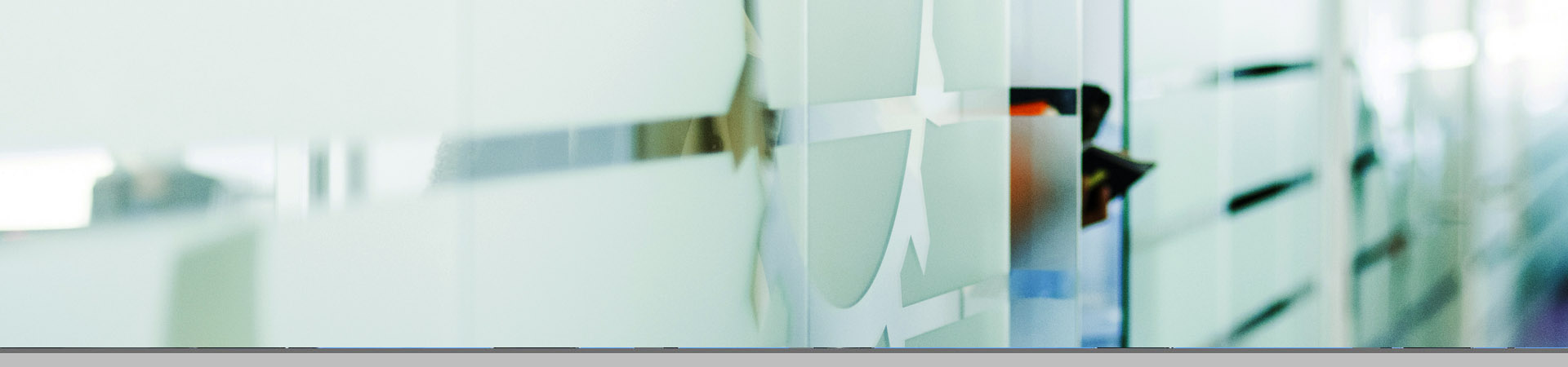 Einscheibensicherheitsglas (ESG)